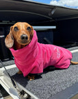 dog drying coat by saltydogs.com.au