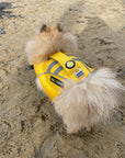 dog life jackets from saltydogs.com.au