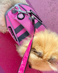 dog life jackets from saltydogs.com.au