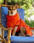 dog drying coat by saltydogs.com.au