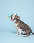 BARK Wallace Walrus