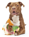 BARK Brooke Trout Plush Dog Toy