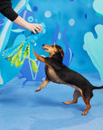 BARK Shifty Sid the Squid