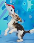 BARK Sting Crosby the Ray