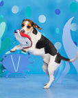 BARK Sting Crosby the Ray