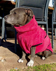 dog drying coat by saltydogs.com.au