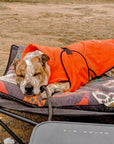 dog drying coat by saltydogs.com.au