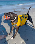 dog life jackets from saltydogs.com.au