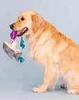 SHARK BAIT DOG TOY