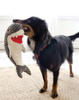 Cuteseas Rufflez Shark