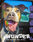 WUNDERBALL - Best Fetch Toy