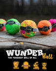 WUNDERBALL - Best Fetch Toy