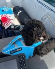 Small dog wearing blue SaltyDOG Waverider life jacket on a boat