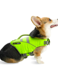 Small dog wearing green SaltyDOG Waverider life jacket