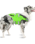 Australian Shepherd dog wearing green SaltyDOG Waverider life jacket at the beach