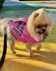 Small pomeranian dog wearing pink SaltyDOG Waverider life jacket at the beach