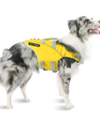 Australian Shepherd dog wearing yellow SaltyDOG Waverider life jacket at the beach