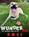 WUNDERBALL - Best Fetch Toy