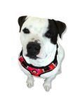 Neoprene Dog Harness - Red