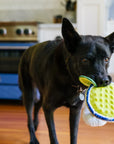 Barktender Pup-arita