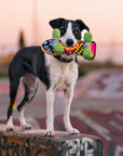 90s Classics Kickflippin' K9