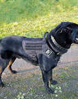 Tactical Harness Onyx Black