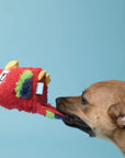BARK Captain Parrot
