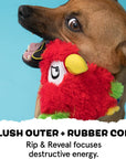 BARK Captain Parrot