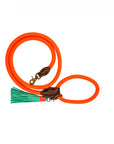 Carrot Cake Dog Leash