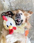 Fluffy Chicken