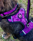 Neoprene Dog Harness - Purple