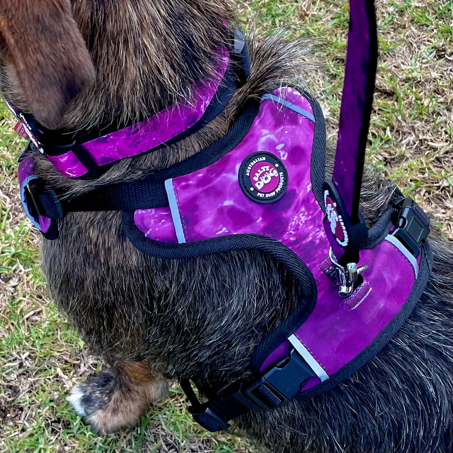 Neoprene Dog Harness - Purple