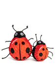 Lady Bug