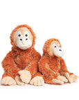 Fluffy Orangutan