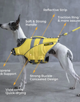 dog life jackets from saltydogs.com.au