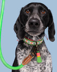 Tropical Summer Dog Collar