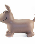 Doggie Dean Dog Toy