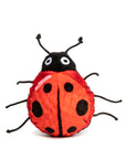 Lady Bug