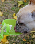 Portable Green Water Bottle