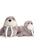 Fluffy Walrus