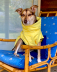dog drying coat by saltydogs.com.au