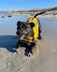 Dog Life Jacket - Sunshine Yellow Waverider