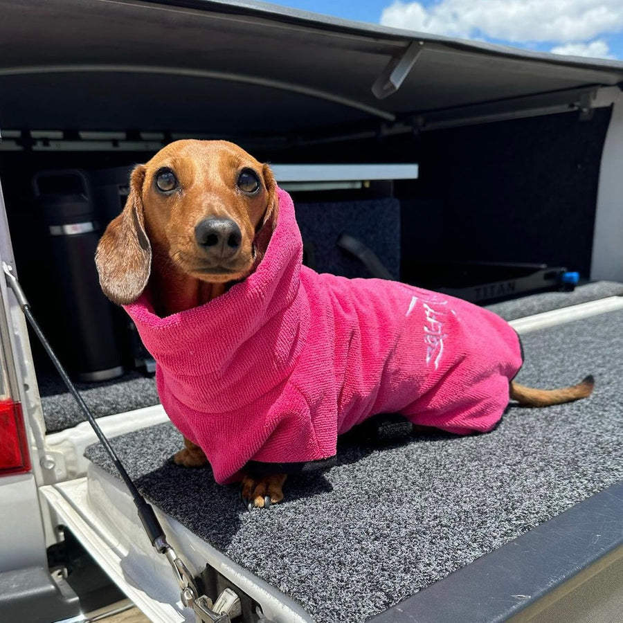 dog drying coat by saltydogs.com.au