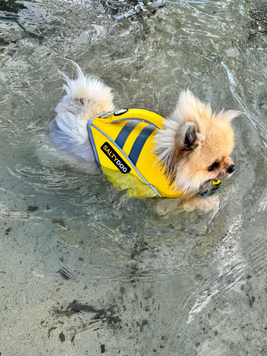 Dog Life Jacket - Sunshine Yellow Waverider