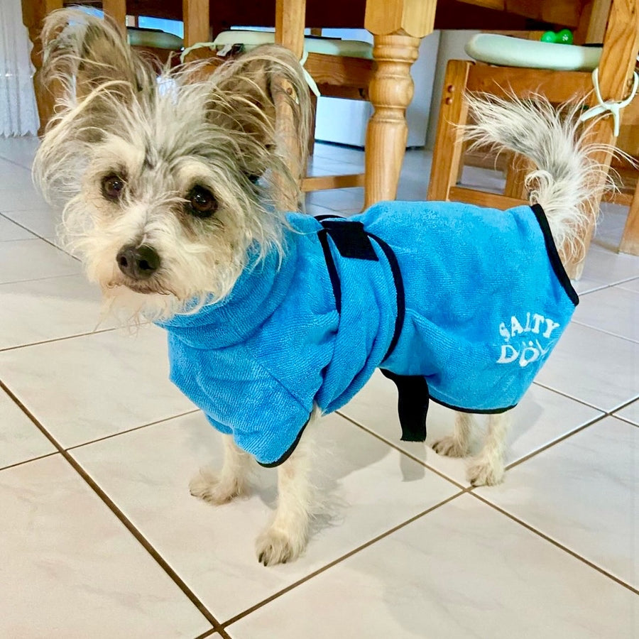 dog drying coat by saltydogs.com.au