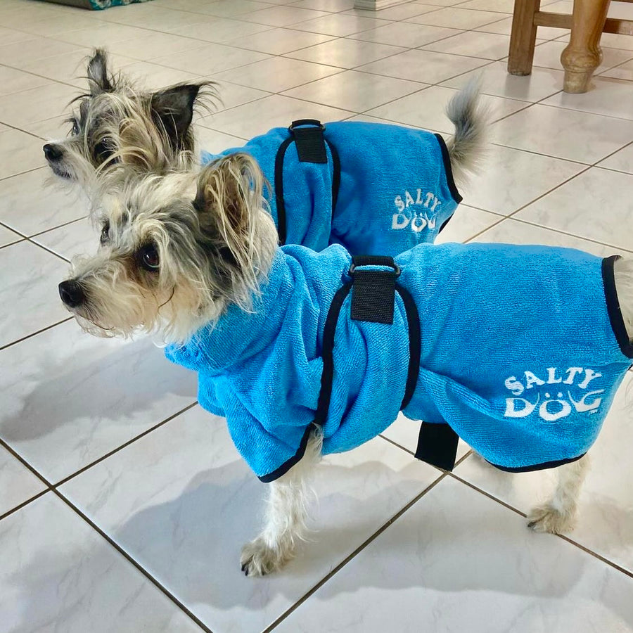 dog drying coat by saltydogs.com.au