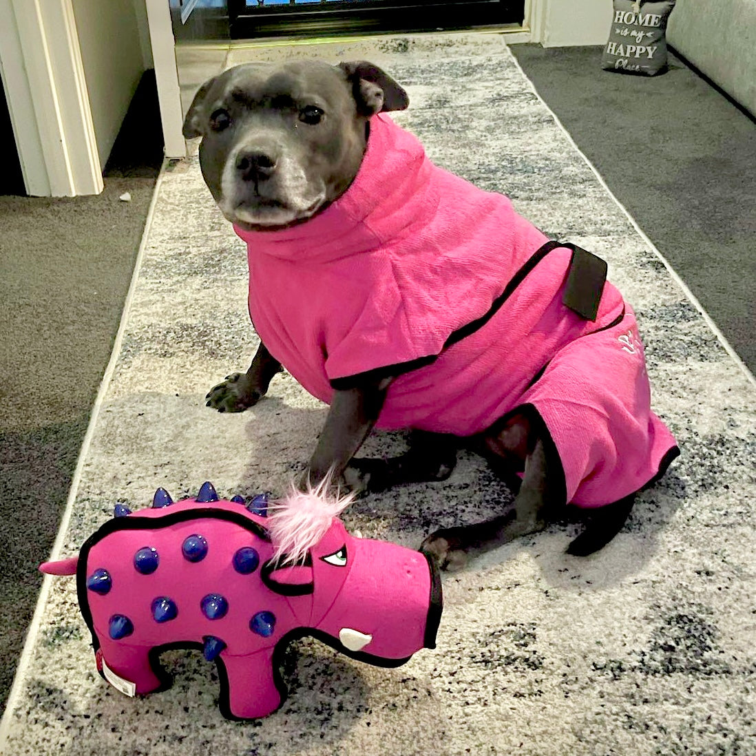 dog drying coat by saltydogs.com.au