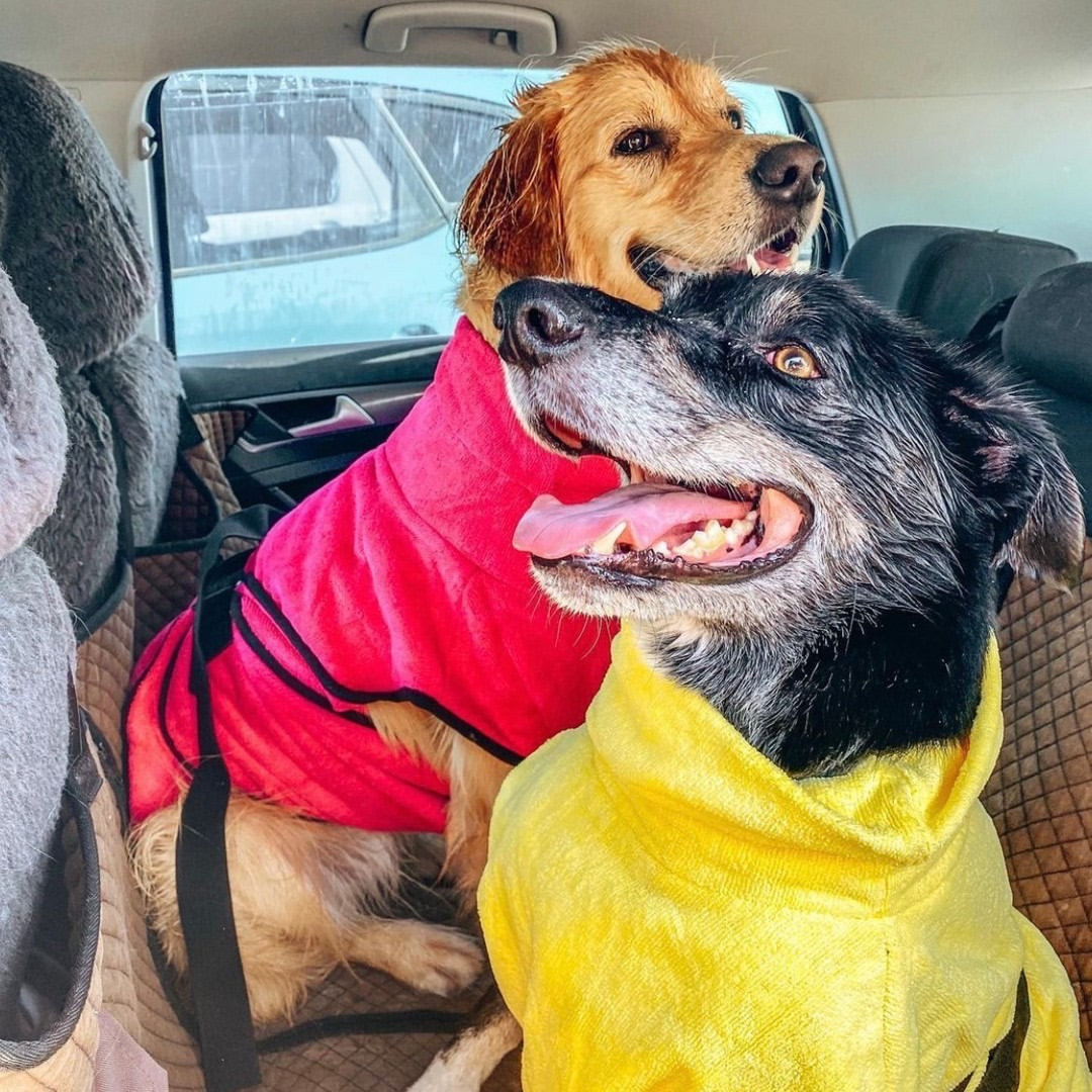 dog drying coat by saltydogs.com.au