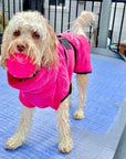 dog drying coat by saltydogs.com.au