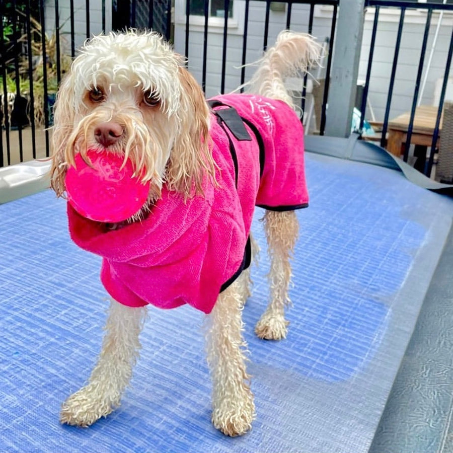 dog drying coat by saltydogs.com.au